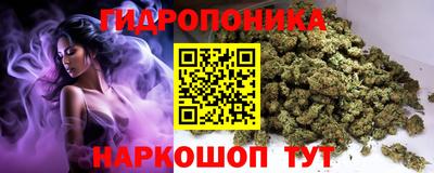 PSILOCYBIN Гусиноозёрск