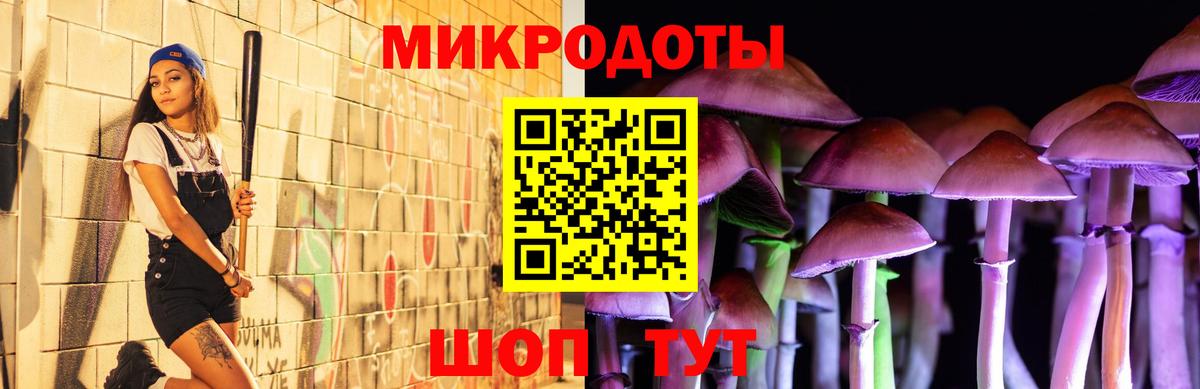 Псилоцибиновые грибы мухоморы Ногинск